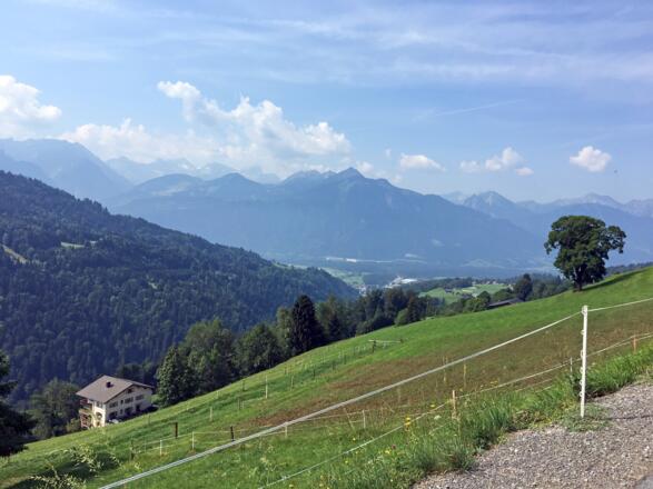 Über den Gaßnerberg hinauf zur Gaßner Alpe