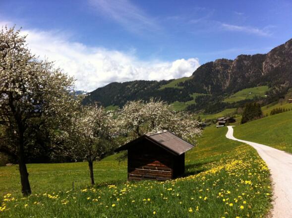 Mittlerer Höhenweg Alpbach.JPG