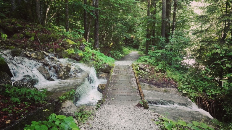 Wildenbachschlucht