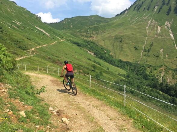 Von der Gaßner Alpe zur Plansott Alpe