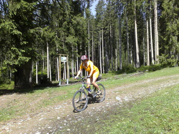 Fahrt durchs Hochmoor am Paß Thurn
