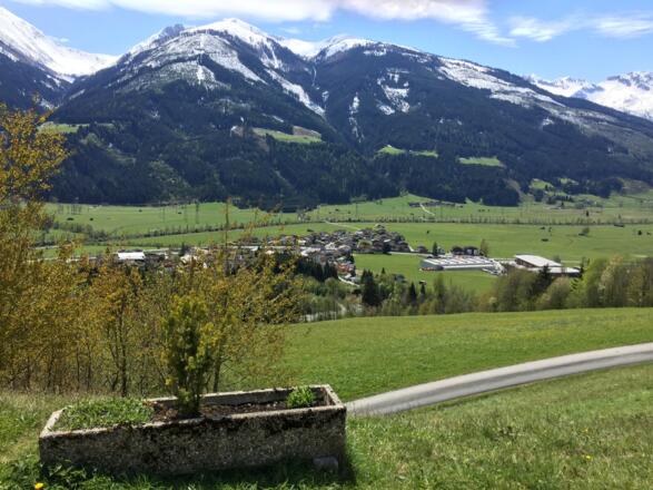 Blick auf Steindorf