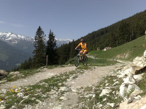 Auffahrt über den Plattwald