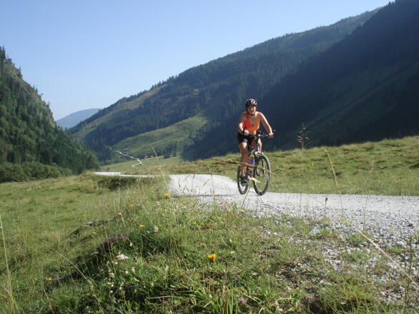 Fahrt durch Almgebiet