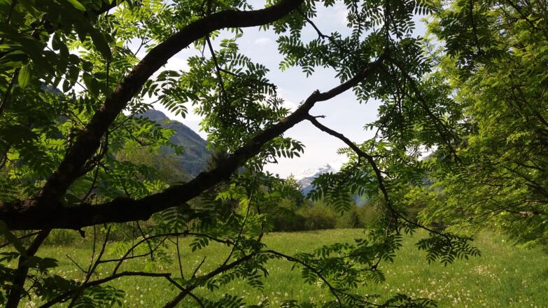 Blick auf den Sonnblick