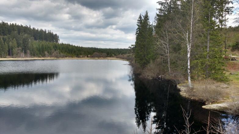 Beim Rubner Teich