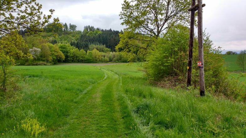 Kann eine Wiese noch saftiger sein?