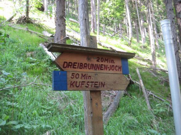 Zum Dreibrunnenjoch (05.06.2011)