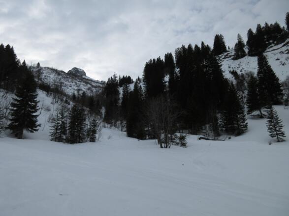 Hier zweigen wir vom Sommerweg ab und orientieren uns an den Skitourgehern, die im etwas flacheren Hang bergauf gestiegen sind.