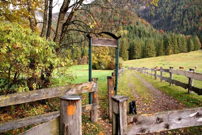 Links die "Pforte" zum Steig am Golfplatzrand - Beginn des Gernweges