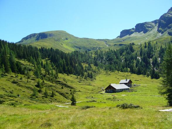 Filzenalm