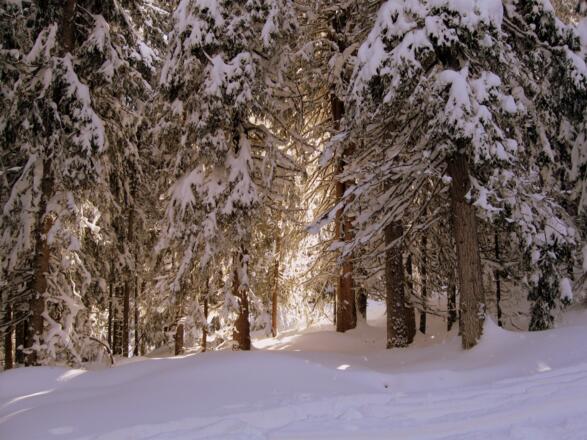 Winterwonderland im Aufstieg