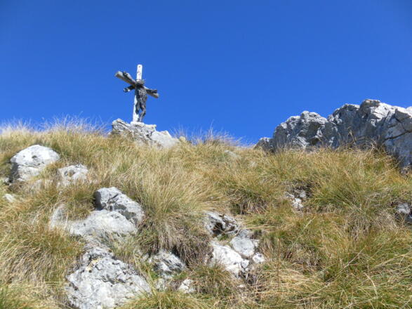 Törlspitz