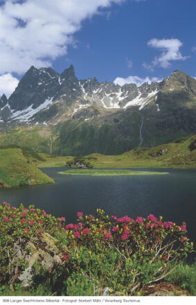 Langsee