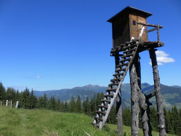 Hundstein
