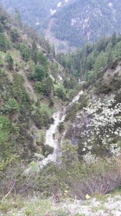 Vorderkaserklamm