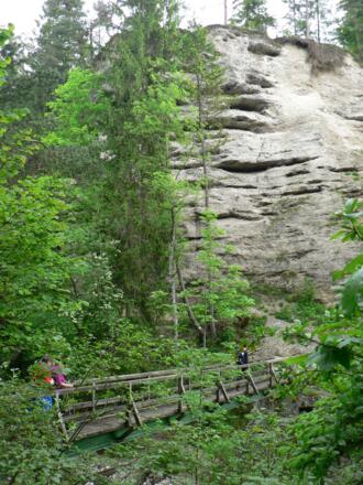 Der Zinkensteg über die Krumme Steyrling unmittelbar am Zusammenfluss mit der Steyr