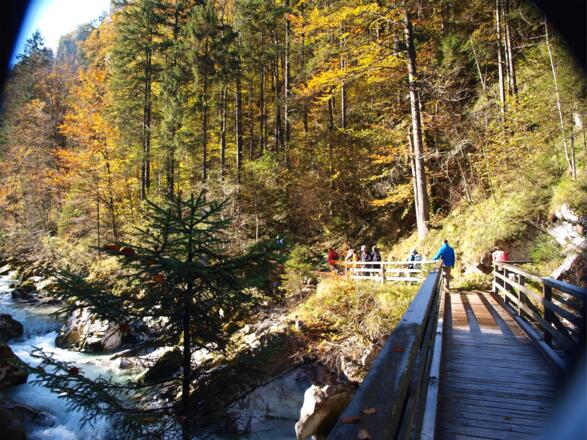 Steyrbrücke 565m