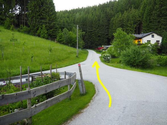 Jetzt geht es 1,5 km auf der Straße hoch
