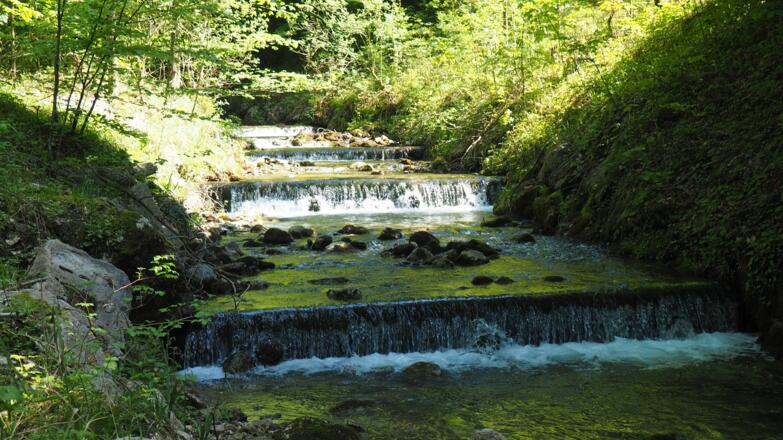 Laudach beim Schranken 640m