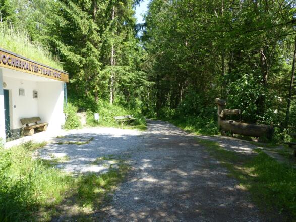 ... und erreichen einen schönen, schattigen und breiten Traktorweg.
