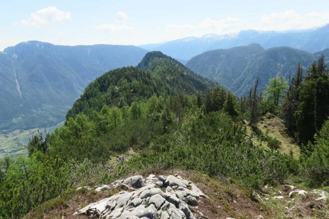 Rückblick