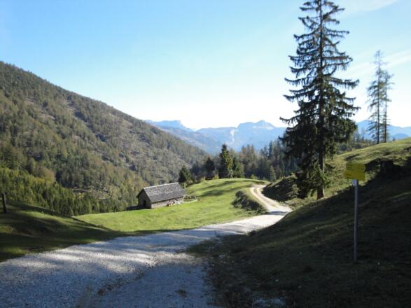 Die Saiherbachalm