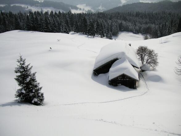 Bubenaualm