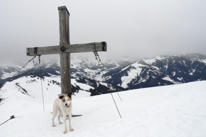 Klingspitze 1.988 m