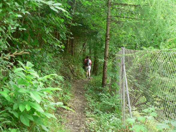 Zuerst noch ein kleines Stück am Zaun entlang...