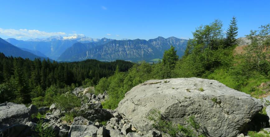 Blick vom Felssturz unterhalb der Zwerchwand in Richtung Dachstein.