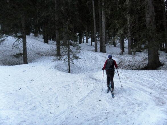Durchgangwald