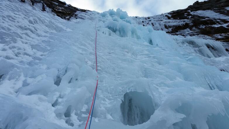Eispilze im oberen Teil von Mordor