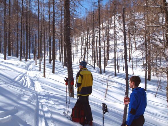 Wegteilung ins obere Loigistal 1450 m