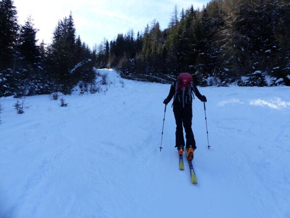 Die Rodelbahn kann immer wieder über Schneisen abgekürzt werden.