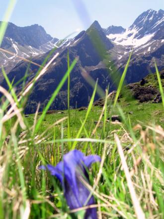 Frühling