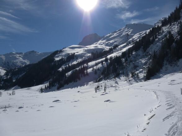 Schreckalm unter dem Tristenwandkopf aus dem Wolfbachtal. Links der Breitebenkopf, ganz rechts der Skigipfel