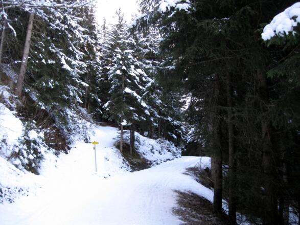 Bei dieser Abzweigung verläßt man die Rodelbahn.