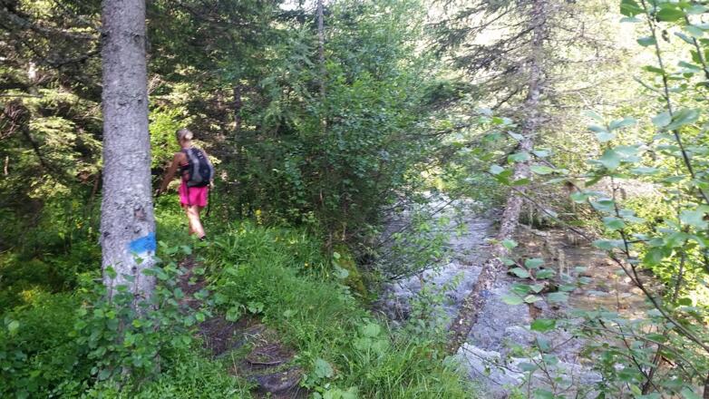 Folgen Sie das Bachbett