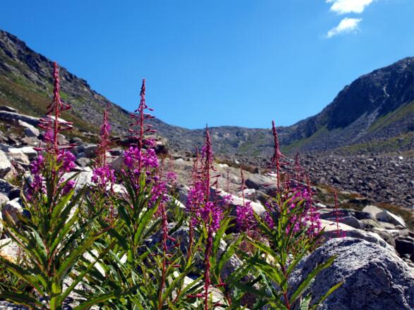 Rückblick zum Joch