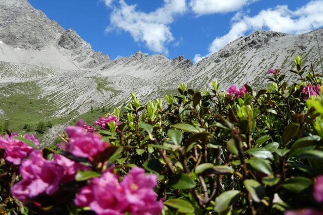 Der Zochenpass (ganz rechts im Bild)