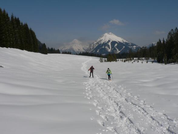 Am Ende der freien Fläche treffen wir dann wieder auf die Aufstiegsspur