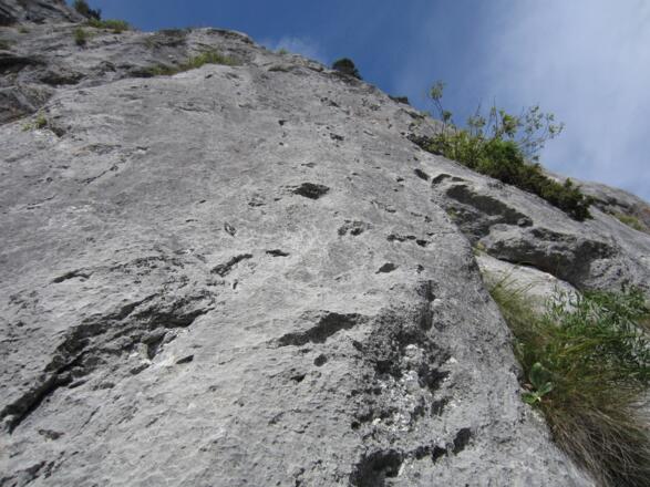 tolle Bewegungen im strukturieren Fels der 5. Seillänge