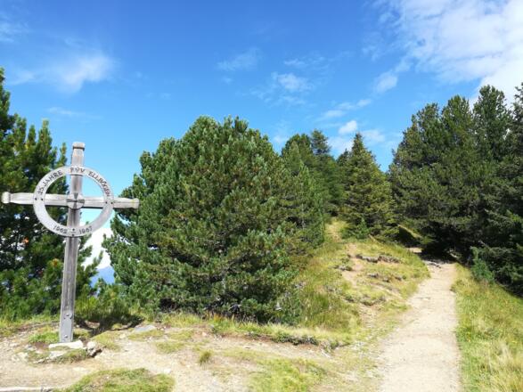 Der Zirbenweg bei Boscheben
