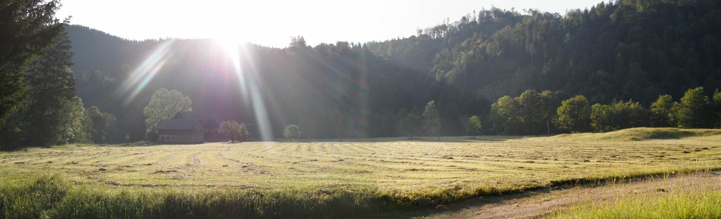 Morgenstimmung im Brunnental