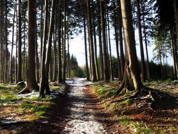 Schlussanstieg um 990m