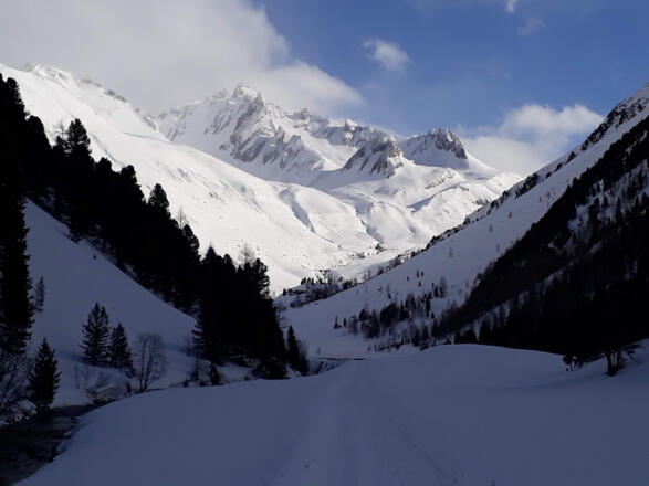 Der Talboden zur Knuttenalm