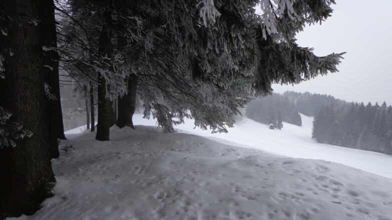 Schön ist es im Winter.