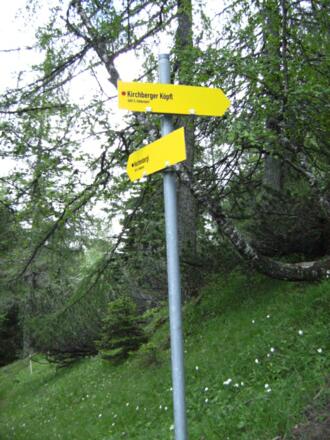 Normalweg zum Kirchbergerköpfl und Rundweg trennen sich