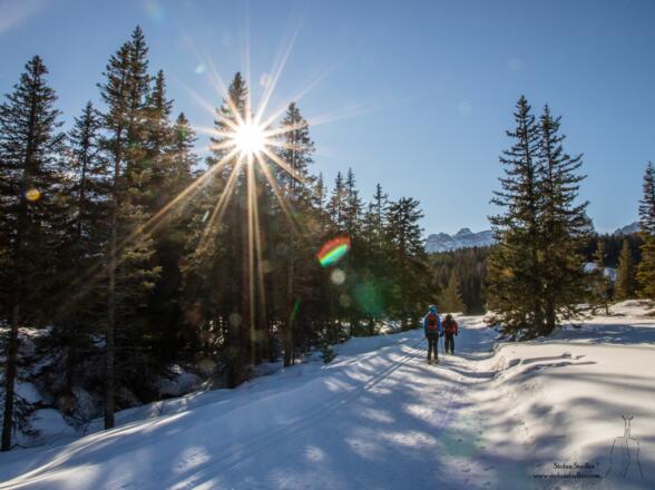 Auf dem Winterwanderweg zurück zum Ausgangspunkt.
